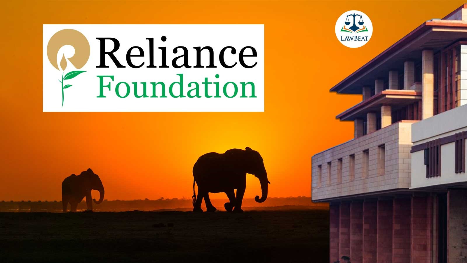 Delhi HC Dismisses Petition Initiated By Lawyer Regarding Ill-Treatment Of Animals During Ambani Wedding Delhi HC Dismisses Petition Initiated By Lawyer Regarding Ill-Treatment Of Animals During Ambani Wedding